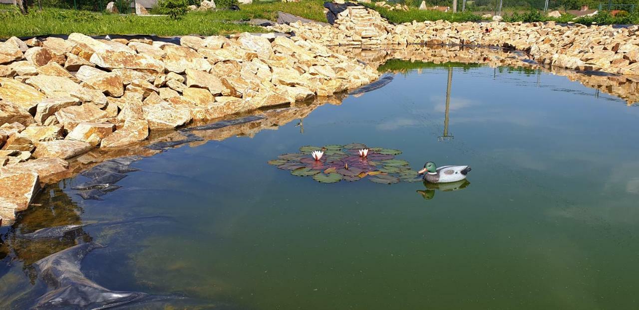 Penzion U Pepicka Netolice Dış mekan fotoğraf